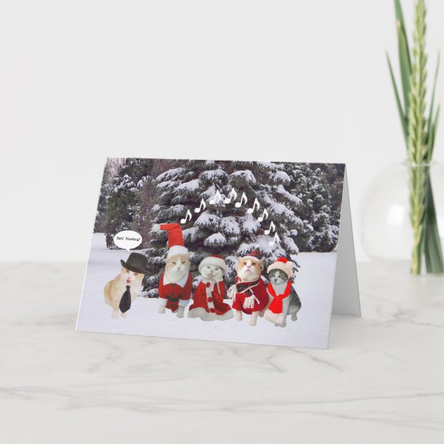 Cartão De Festividades Caroleiros de Gato Engraçado (Frente)