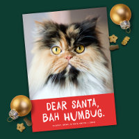 Caros Papais noeis Bah Humbug Engraçado Foto Pet