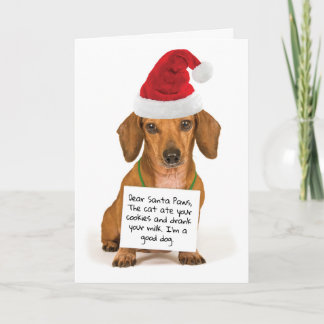 Cartão De Festividades Caros Papais noeis, patas bonitas, Natal Dachshund