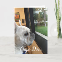Carpe Diem, seu mundo aguarda!