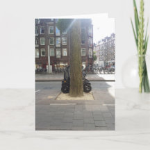 Carro Pequeno. Carro Elétrico.