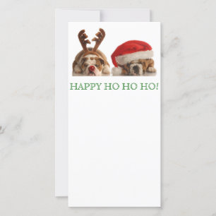 Cartão De Festividades Cartão-postal para Bulls de Natal