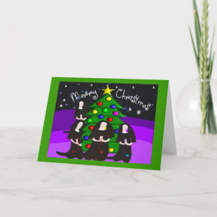 Cartão De Festividades Cartas de Natal e presentes