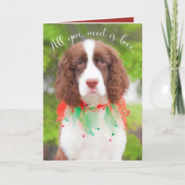Cartão De Festividades Cartas de Natal Inglês Springer Spaniel (Frente)