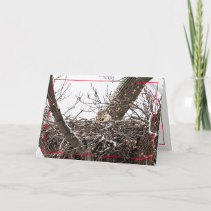 Cartão De Festividades Casa Para O Feriado