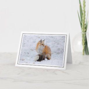 Cartão De Festividades Cascade Fox in Snow