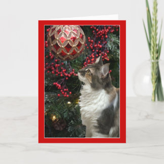 Cartão De Festividades Cat Christmas ornament funny greeting card