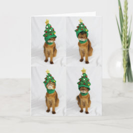 Cartão De Festividades Cat Christmas Tree Hat Greeting Card