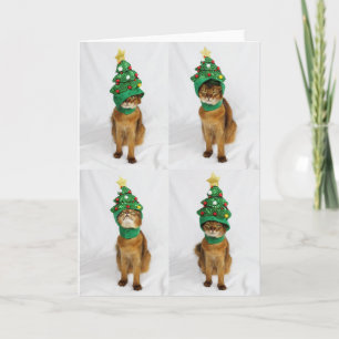 Cartão De Festividades Cat Christmas Tree Hat Greeting Card