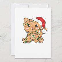 Cat Christmas Winter Animals Cats