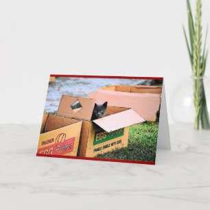 Cartão De Festividades Cat in a Box Christmas Card