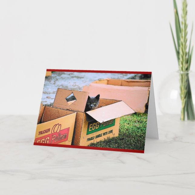 Cartão De Festividades Cat in a Box Christmas Card (Frente)