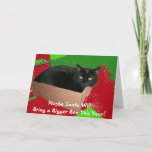 Cartão De Festividades Cat In Box Christmas Card<br><div class="desc">Francis,  our black cat,  enjoys a tiny box!</div>