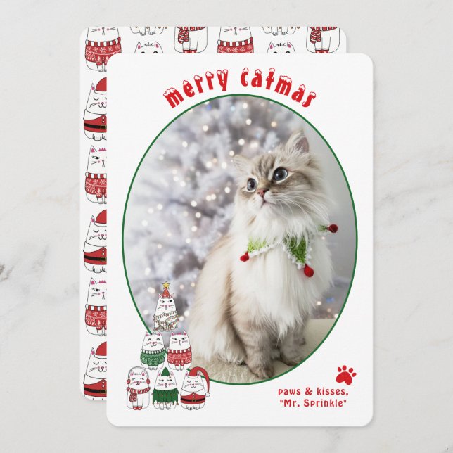 Cartão De Festividades Cat Lover Cute Festive Cat Photo Christmas (Frente/Verso)