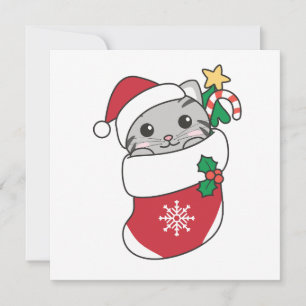 Cartão De Festividades Cat Natal Neve Inverno Animais de inverno Carro Fe