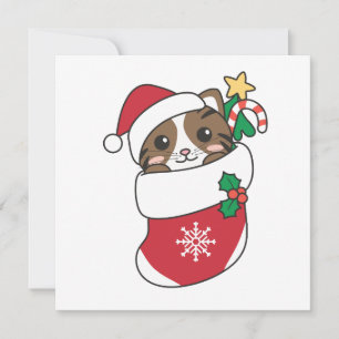 Cartão De Festividades Cat Natal Neve Inverno Animais de inverno Carro Fe