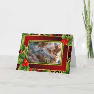 Cartão De Festividades Cat on Christmas - Holiday Background
