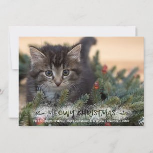 Cartão De Festividades Cat Photo Brusch Script Snowy MEOWY CHRISTMAS