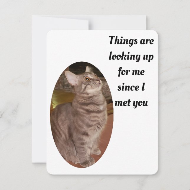 Cartão De Festividades Cat Photo Things Looking Up Purrfect Valentine (Frente)