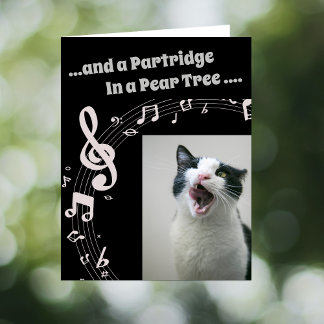 Cartão De Festividades Cat SINGING Humor Song 2 Christmas Card