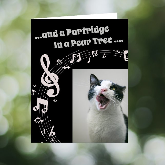Cartão De Festividades Cat SINGING Humor Song 2 Christmas Card (Criador carregado)