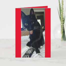 Cartão De Festividades Cat toma controle remoto para Dia de os namorados