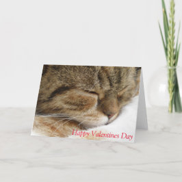 Cartão De Festividades Cat valentines day Card