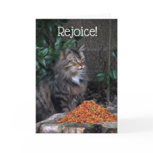 Cat With an Easter Miracle Card