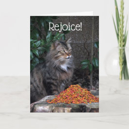 Cartão De Festividades Cat With an Easter Miracle Card