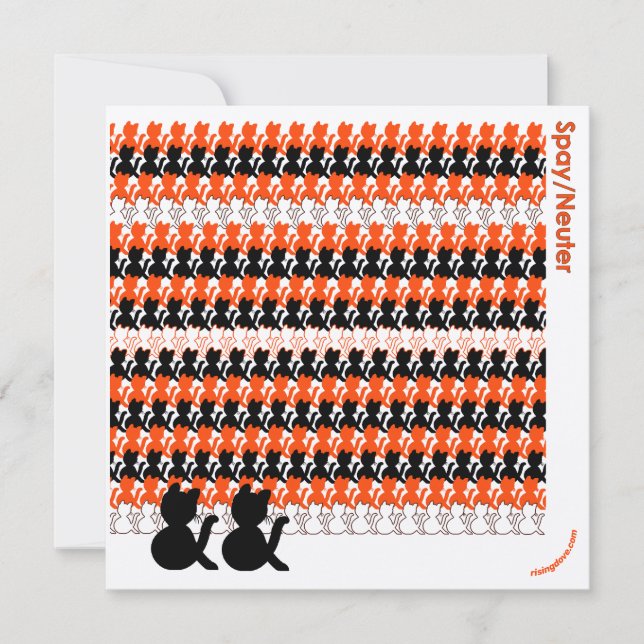 Cartão De Festividades "Catcetera: Spay/Neuter" Salve as Aves (Frente)