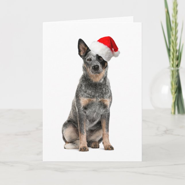Cartão De Festividades Cattle Dog Christmas Card (Frente)
