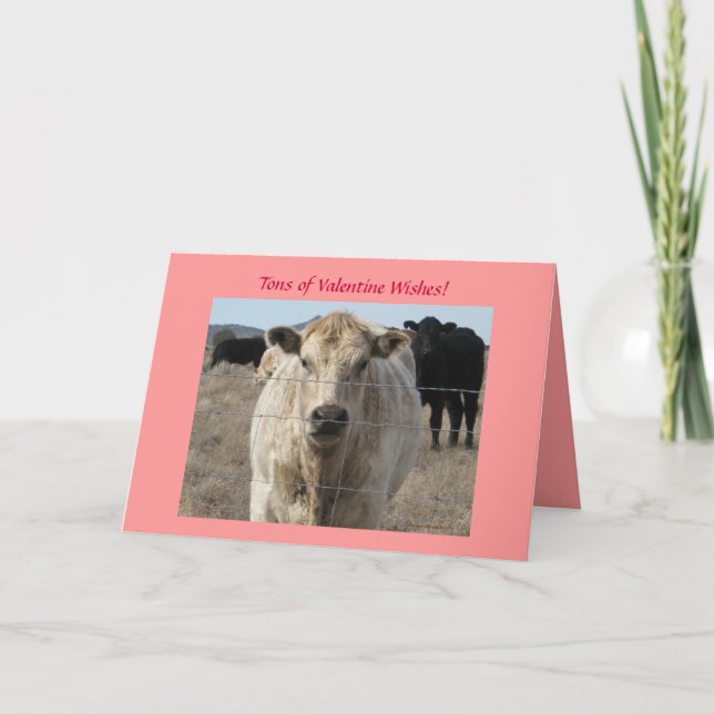 Cartão De Festividades Cattle Herd Valentine Wishes - Western (Frente)