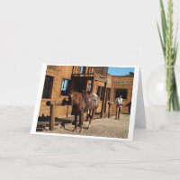 Caubói e cavalo no velho oeste, EUA
