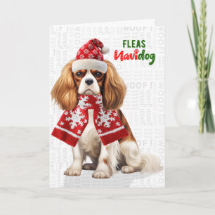 Cartão De Festividades Cavalier King Charles Cachorro Pulgas Navidog Nata