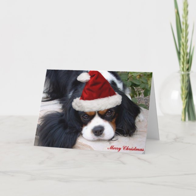 Cartão De Festividades Cavalier King Charles Christmas card (Frente)