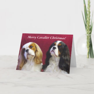Cartão De Festividades Cavalier King Charles Christmas Card