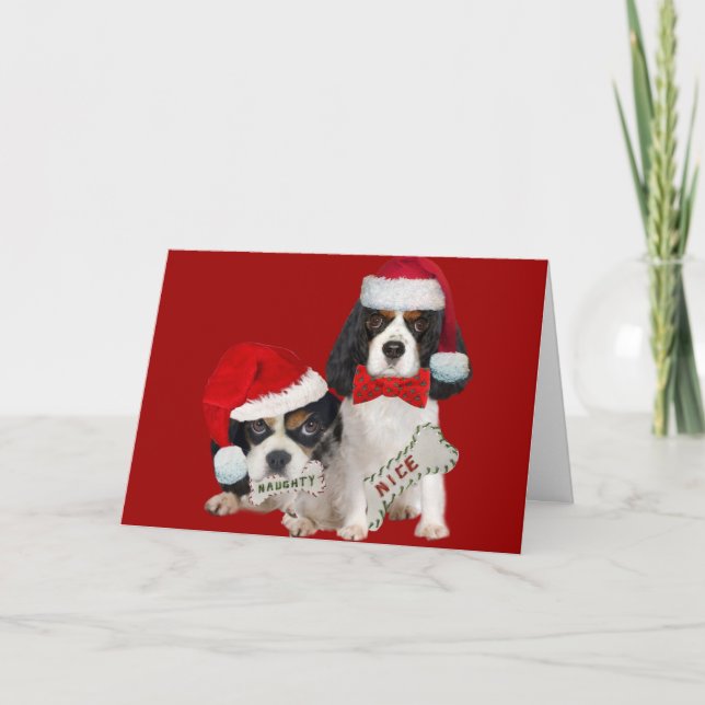 Cartão De Festividades Cavalier King Charles Christmas Naughor Nice (Frente)
