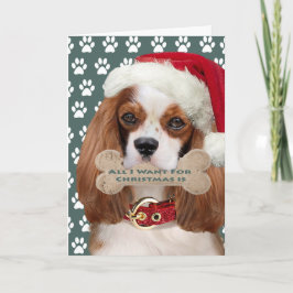 Cartão De Festividades Cavalier King Charles Kisses Para O Natal