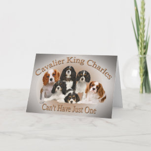 Cartão De Festividades Cavalier King Charles não pode ter apenas um prese