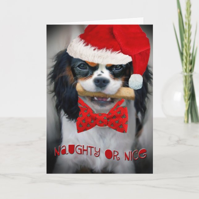 Cartão De Festividades Cavalier King Charles Naughty ou Nice Ca de Natal (Frente)