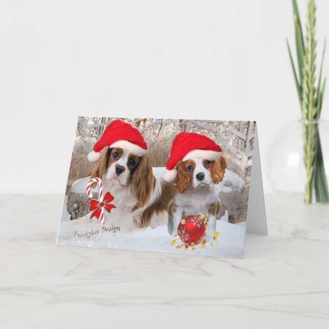 Cartão De Festividades Cavalier King Charles Snow (Frente)