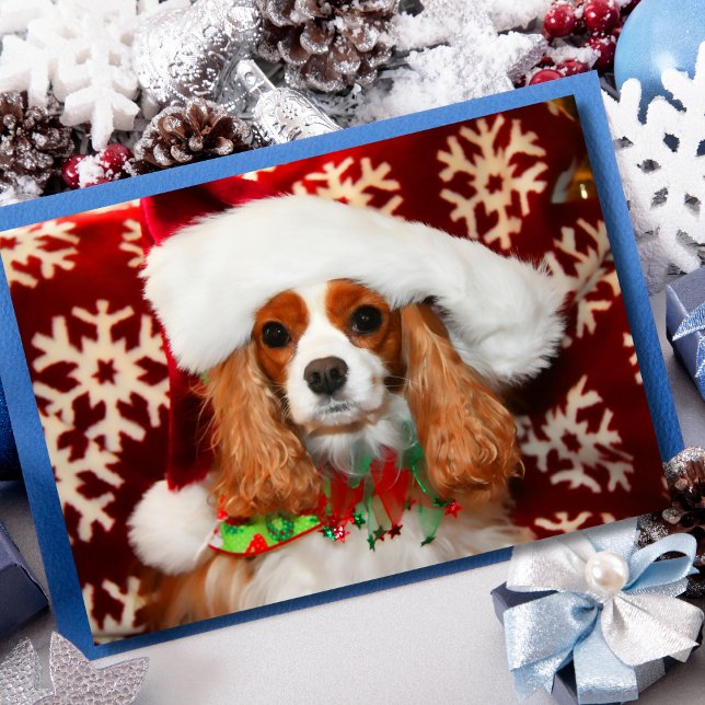 Cartão De Festividades Cavalier King Charles Spaniel Amor de Natal (Criador carregado)