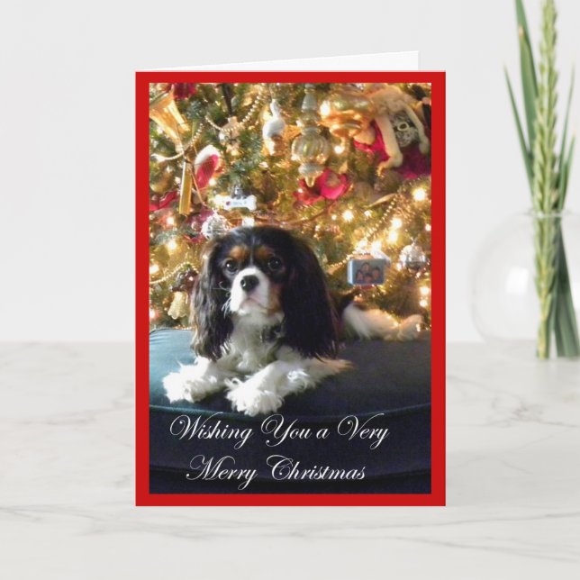 Cartão De Festividades Cavalier King Charles Spaniel Christmas Card (Frente)