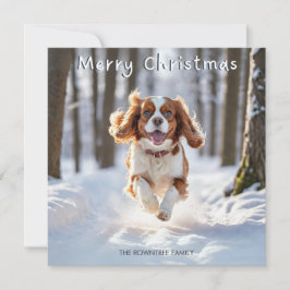 Cartão De Festividades Cavalier King Charles Spaniel Dog Feliz Natal