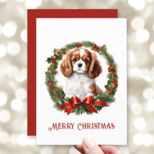 Cavalier King Charles Spaniel Dog No Natal