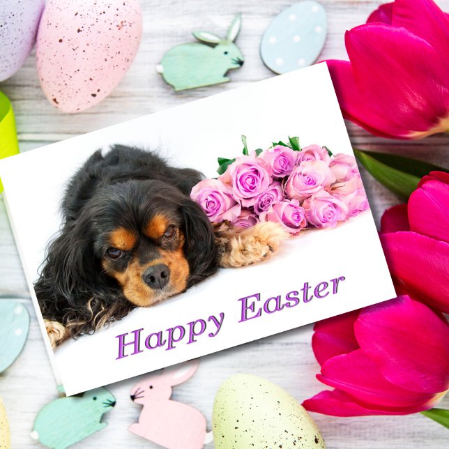 Cartão De Festividades Cavalier King Charles Spaniel Easter Card Roses (Criador carregado)