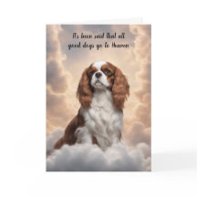 Cavalier King Charles Spaniel Heaven Sympathy