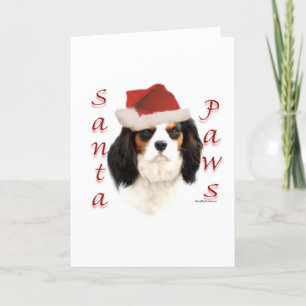 Cartão De Festividades Cavalier King Charles Spaniel Papais noeis Paws