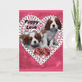 Cartão De Festividades Cavalier King Charles Spaniel Puppy Love