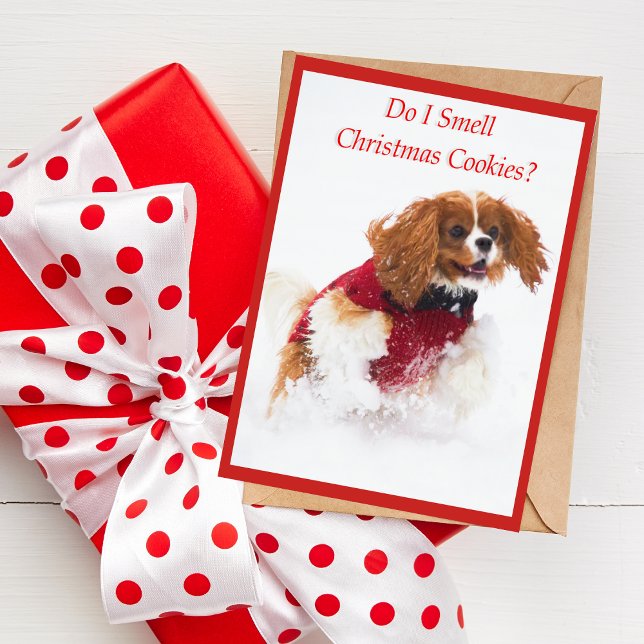 Cartão De Festividades Cavalier King Charles Spaniel Running In Snow Card (A cute Christmas card featuring Sadie the Cavalier King Charles Spaniel. )